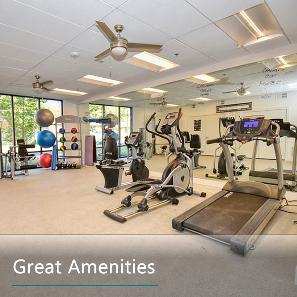 Features and Amenities