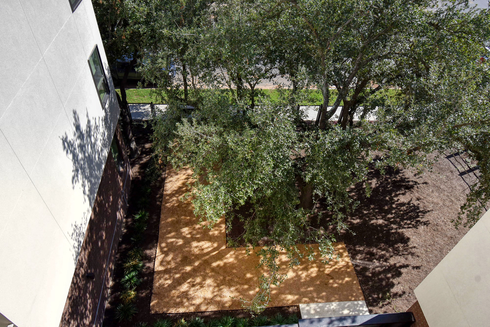Apartment interior at Pathways at Chalmers Courts South