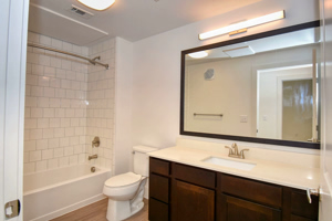 Apartment bathroom mirror and vanity